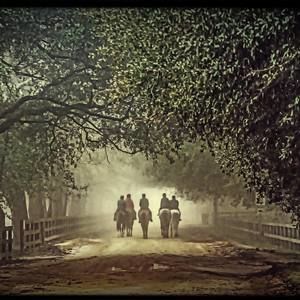 Meet your Posher, Laurey